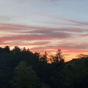 Meet your Posher, Lily